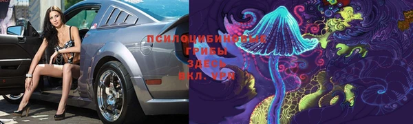 твердый Алзамай